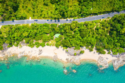 High angle view of trees by sea