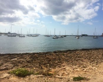 Sailboats in sea