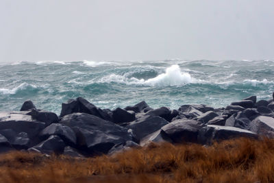 Scenic view of sea against clear sky