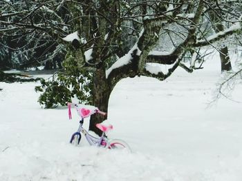 Bicycle on tree during winter