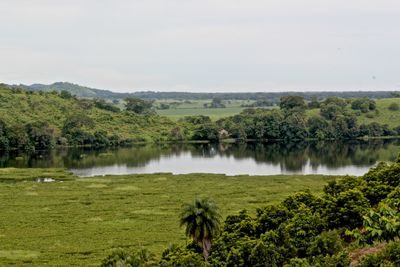 Scenic view of lake by trees against sky