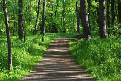 The path to greener pastures 