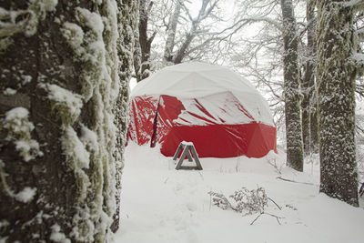 View of snow covered land and trees