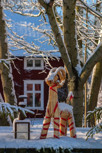 View of an animal on snow covered tree