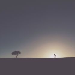 Low angle view of tree against sky