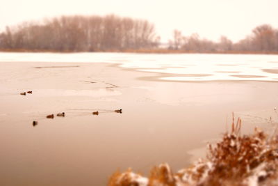 Scenic view of lake against sky during winter