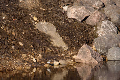 Rocks in sea