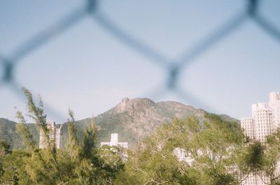 Plants and buildings against sky seen through chainlink fence