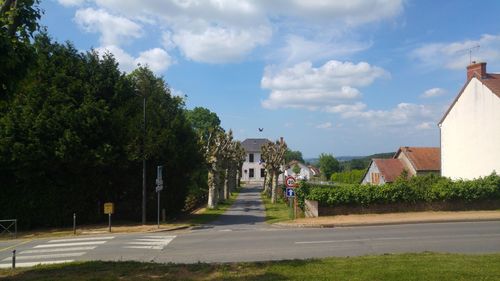 Road amidst trees and buildings against sky