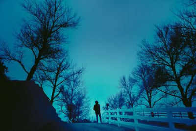 Rear view of silhouette man standing by bare trees against blue sky