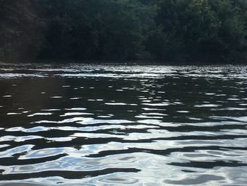 Scenic view of river against trees