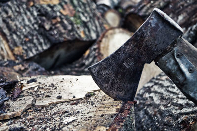 Close-up of axe on tree log