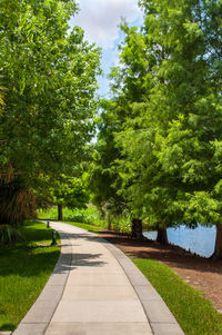 Footpath amidst trees in park