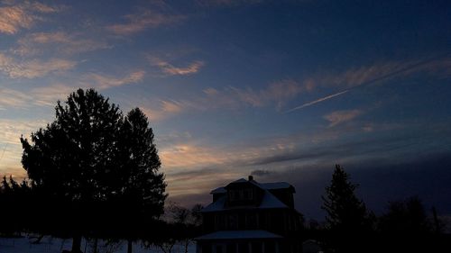 Low angle view of silhouette trees against sky