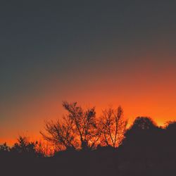 Silhouette trees against orange sky