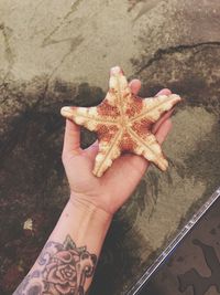 Directly above shot of cropped tattooed hand holding dead starfish