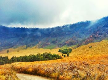 Scenic view of landscape against cloudy sky