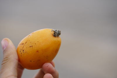 Close-up of hand holding apple