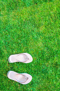 High angle view of shoe on field