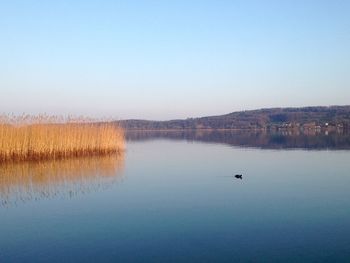 Scenic view of calm sea against clear sky