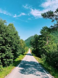 Road amidst trees against sky