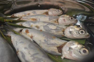 Close-up of fish for sale