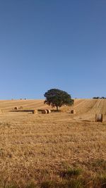 Scenic view of rural landscape against clear blue sky