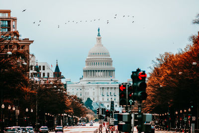 View of birds flying in city