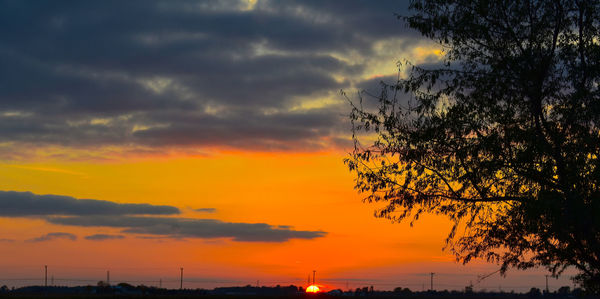 Silhouette tree against dramatic sky during sunset