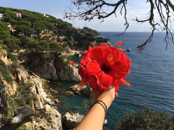 Cropped image of woman holding red hibiscus in front of sea
