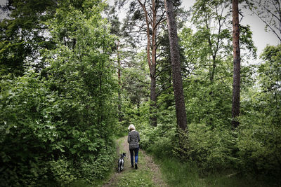 Rear view of man walking on footpath in forest