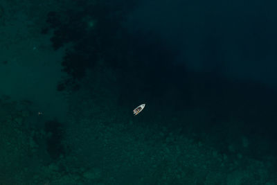 High angle view of bird flying over sea