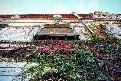 Low angle view of building against blue sky