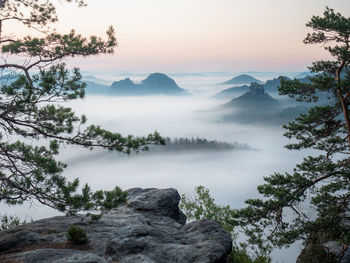 The fabulous vistas of saxon switzerland. kleiner winterberg view, sandstone cliff and misty valley