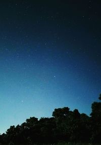 Low angle view of silhouette trees against clear sky at night