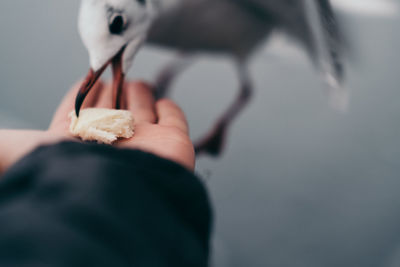 Close-up of hand holding ice cream