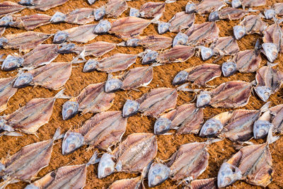 Full frame shot of rocks