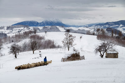 Scenic view of landscape against sky during winter