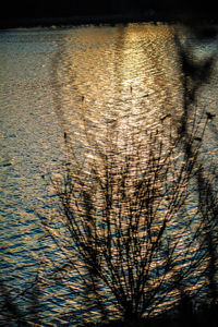 High angle view of rippled water