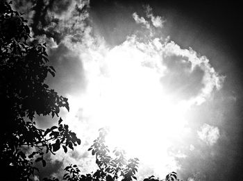 Low angle view of trees against cloudy sky