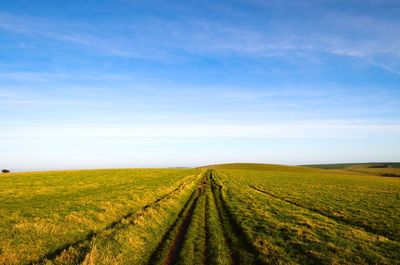 Scenic view of field against sky