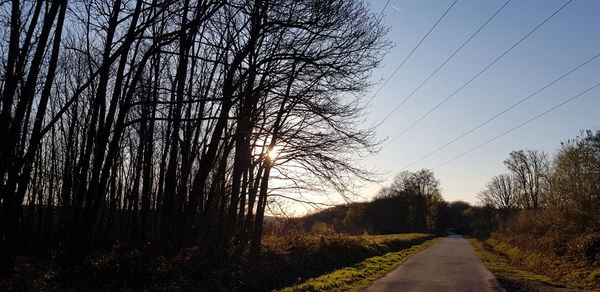 View of empty road along bare trees