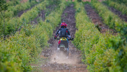 Woman riding her dirt-bike through plantation in pak chong / thailand