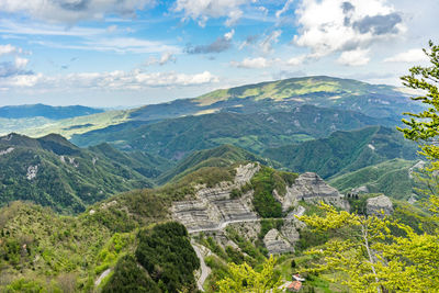 Green spring trees in the casentino forests national park