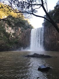 Scenic view of waterfall in forest