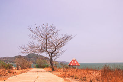 View of bare trees on land against clear sky