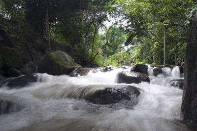 View of waterfall in forest