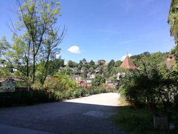 Empty road with trees in background