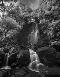 High angle view of waterfall in forest