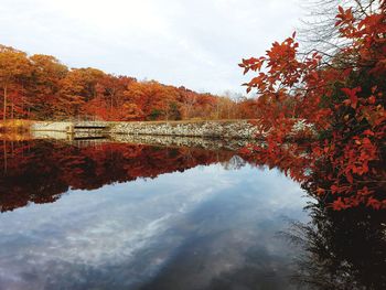 Reflection of trees on lake during autumn